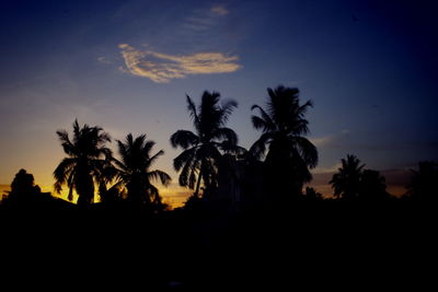 Silhouette of palm trees against sky at sunset