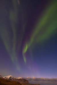 aurora