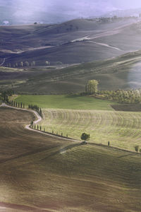 High angle view of agricultural field