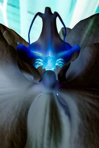 Close-up of object on the wall