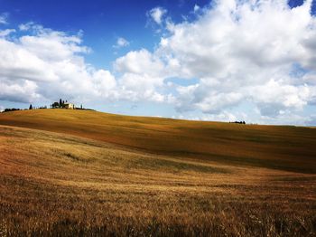 Scenic view of agricultural field against sky