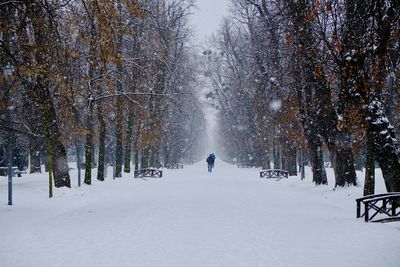 People walking on snow covered field amidst trees during winter