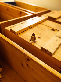 High angle view of bee on table