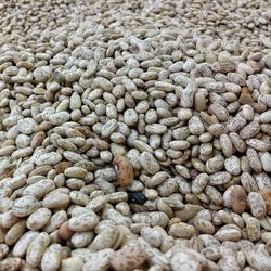 Full frame shot of coffee beans