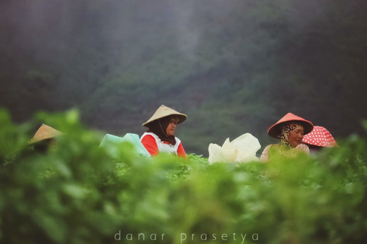 Danar Prasetya