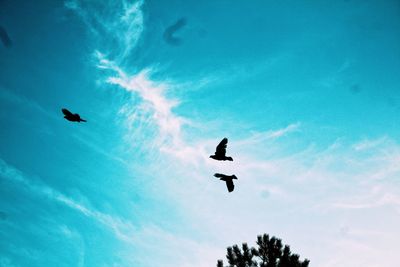 Low angle view of silhouette birds flying in sky