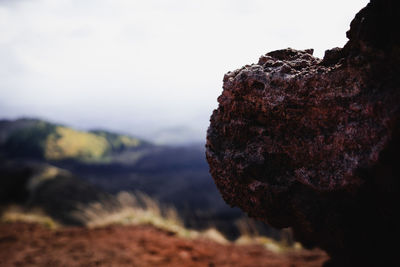 Close-up of rock on mountain against sky