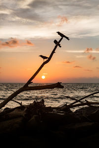 Scenic view of sea against sky at sunset