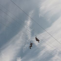 Low angle view of women on zip line against sky