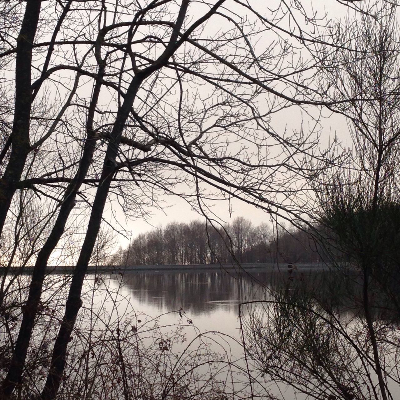 bare tree, tree, water, tranquility, tranquil scene, branch, lake, reflection, scenics, beauty in nature, silhouette, nature, sky, idyllic, sunset, river, waterfront, non-urban scene, calm, outdoors