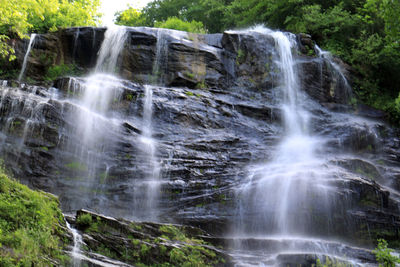 Low angle view of waterfall in forest