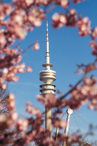 Low angle view of tower with cherry tree in foreground
