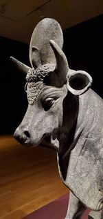 Close-up of deer statue in museum