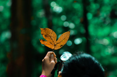 Close-up of person photographing leaf against trees