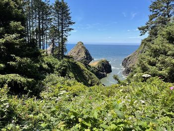 View from hecate head oregon