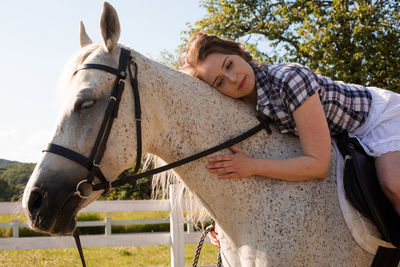 Midsection of a horse in a field