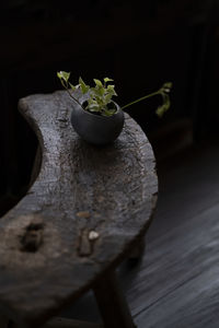 Indoor old coffee table with flowers