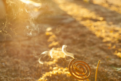 Close-up of water drops on field