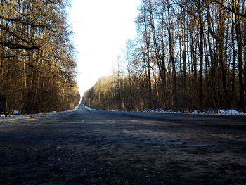 Road amidst trees against sky during winter