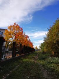 View of trees against cloudy sky