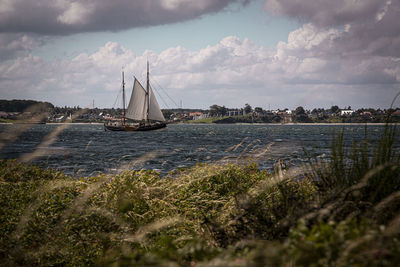 Sailboats sailing on sea against sky