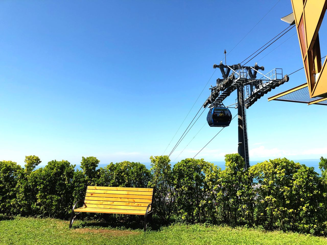 sky, plant, nature, clear sky, tree, day, field, no people, copy space, land, growth, sunlight, landscape, technology, blue, cable, outdoors, connection, fuel and power generation, grass, electricity, power supply