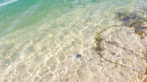 High angle view of surf on beach