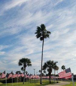 Low angle view of coconut palm trees on field against sky