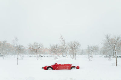 Red car under snowdrift among leafless trees during snowfall in cloudy winter day in madrid