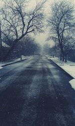 Road passing through bare trees