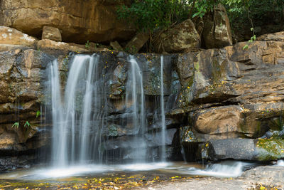 Scenic view of waterfall in forest