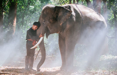 Young man embracing elephant in forest