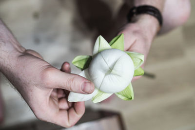 Close-up of hand holding flower