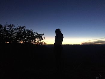 Silhouette trees against sky at sunset