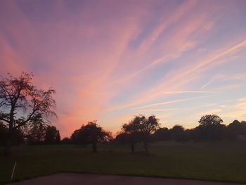 Silhouette trees on field against sky at sunset