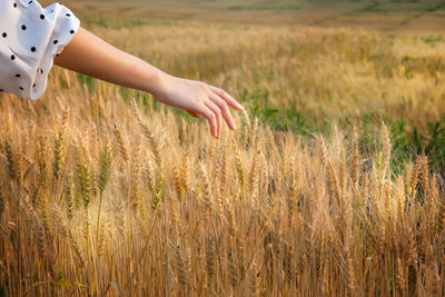 Midsection of woman on field