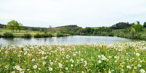 Scenic view of lake against sky