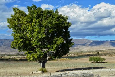 Scenic view of landscape against cloudy sky