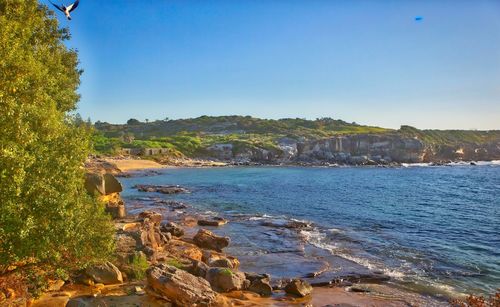 Scenic view of sea against clear blue sky