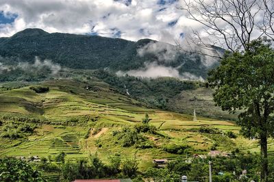 Scenic view of landscape against sky