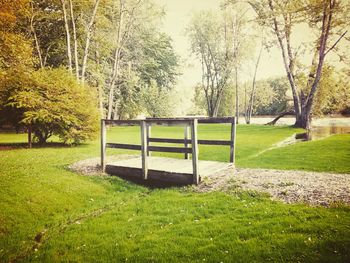 Empty swing in park