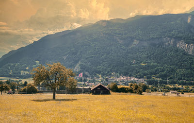 Scenic view of field by houses against sky