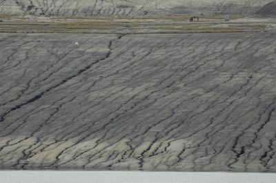 Full frame shot of wood