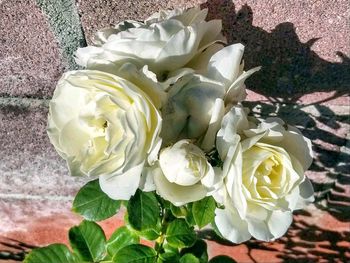 Close-up of white rose bouquet