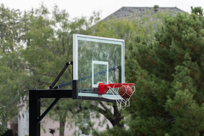 Low angle view of basketball hoop against trees