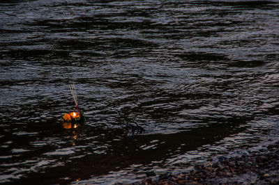 High angle view of duck swimming in lake