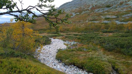 River flowing through rocks