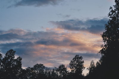 Low angle view of trees against cloudy sky