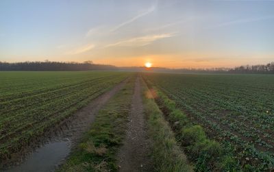 Scenic view of field against sky during sunset