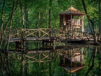 Built structure in lake against trees in forest